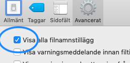 Inställningen 'visa alla filnamnstillägg' är vald